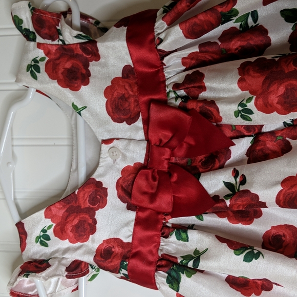 Gymboree Formal Red Roses Dress - Picture 5 of 6